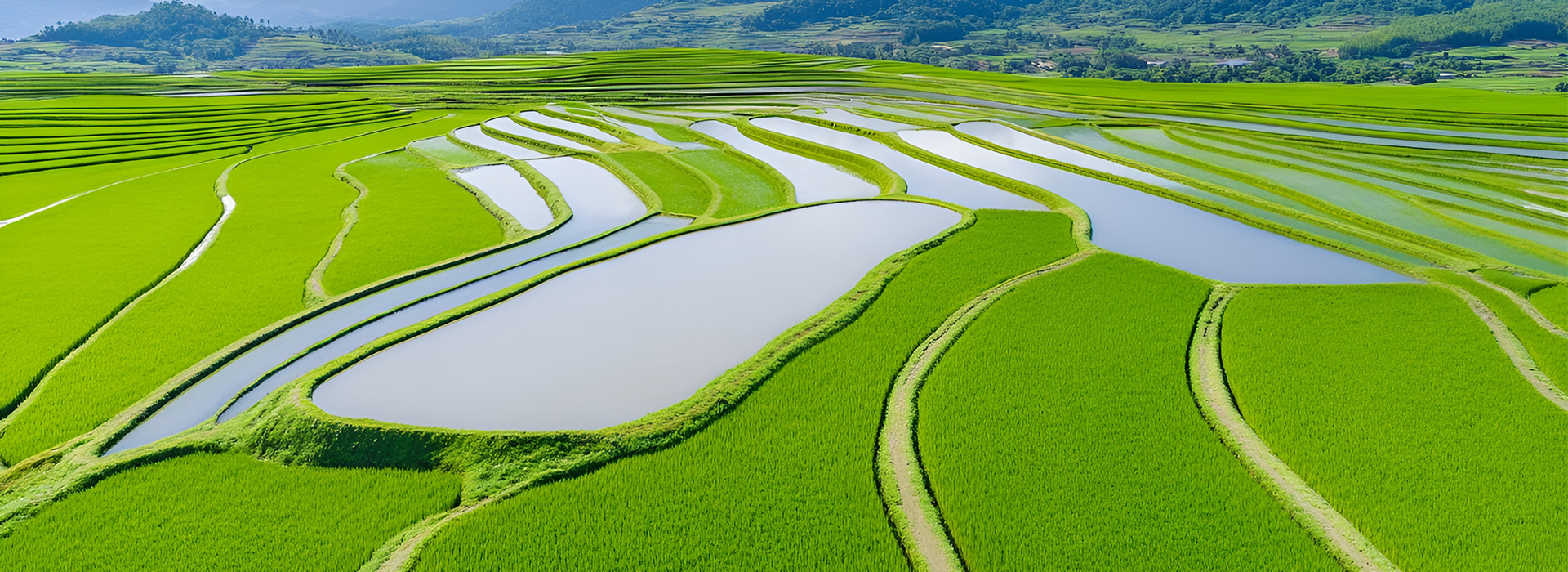 ̫������tyc4633