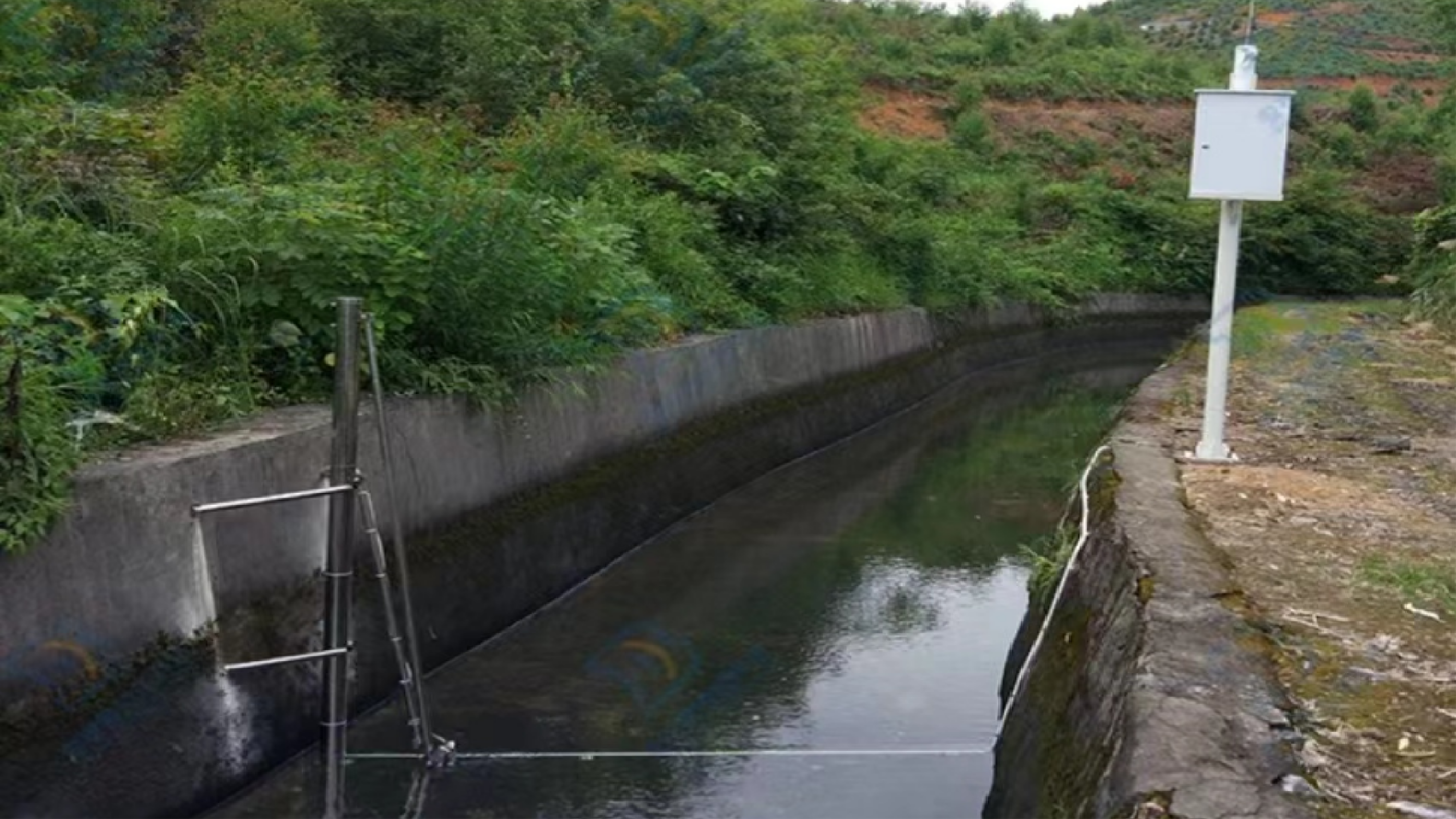 ̫������tyc4633