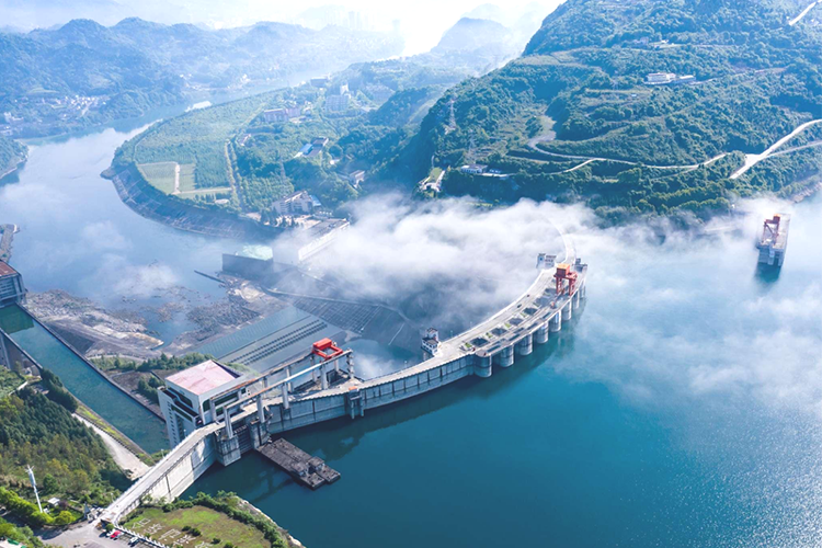 ̫������tyc4633