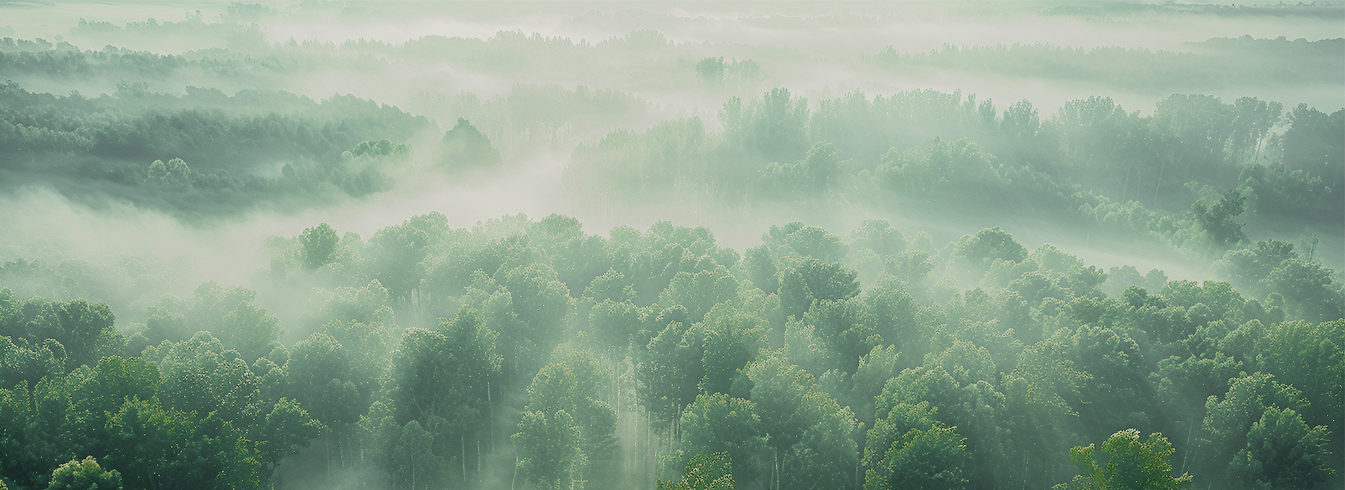 ̫������tyc4633