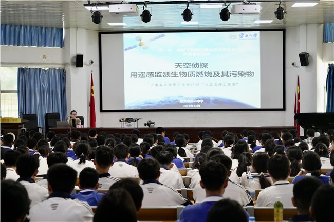 ̫������tyc4633