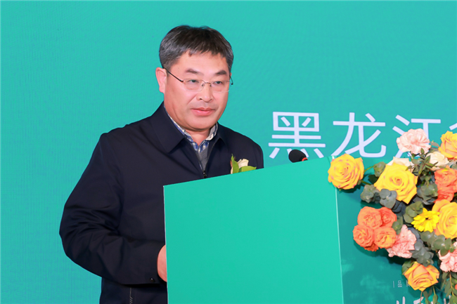 ̫������tyc4633