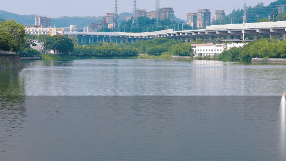 ̫������tyc4633