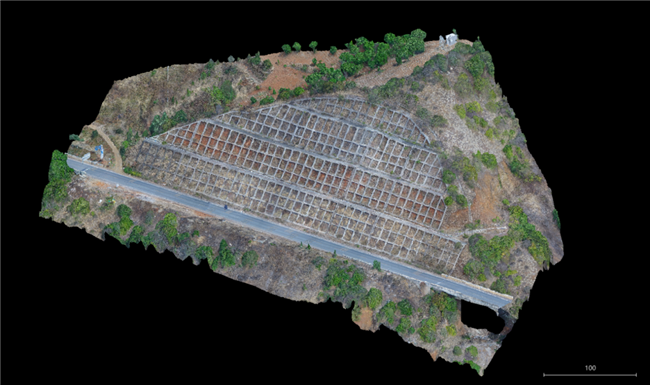 ̫������tyc4633