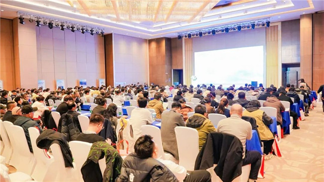 ̫������tyc4633