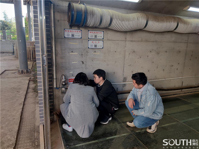 ̫������tyc4633