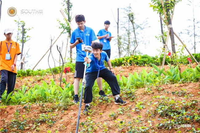 ̫������tyc4633