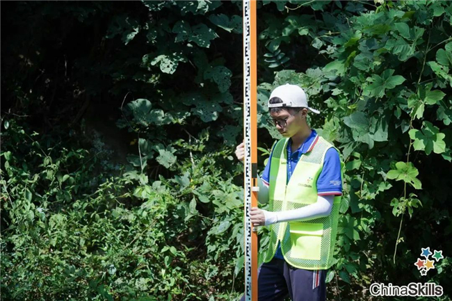 ̫������tyc4633