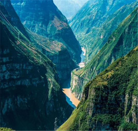 ̫������tyc4633