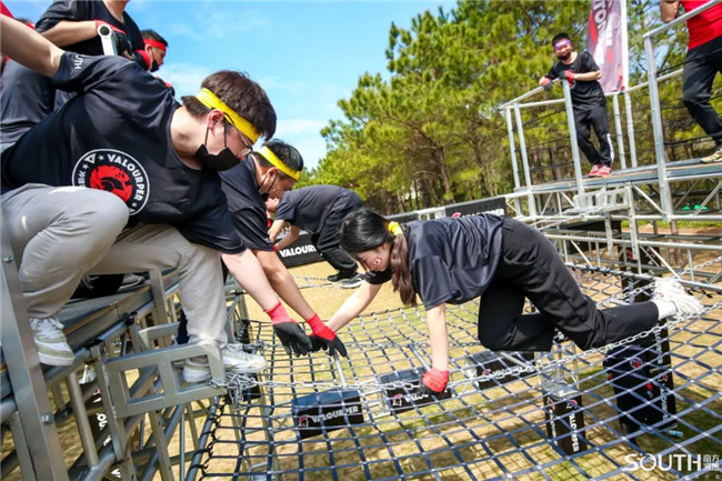 ̫������tyc4633