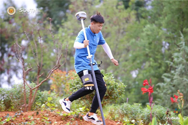 ̫������tyc4633