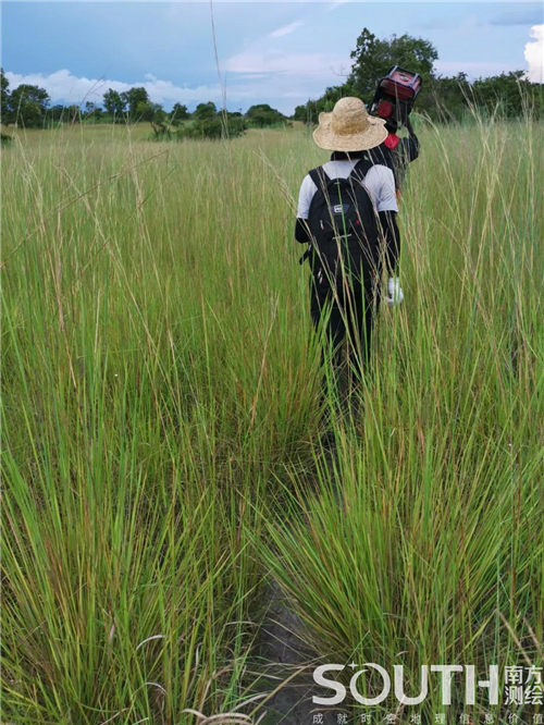 ̫������tyc4633