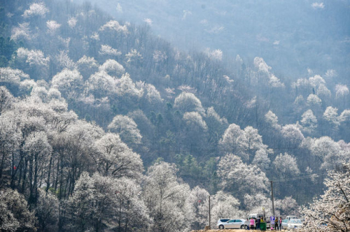 Ì«Ñô¼¯ÍÅtyc4633