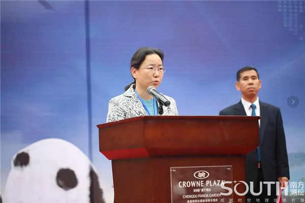 ̫������tyc4633