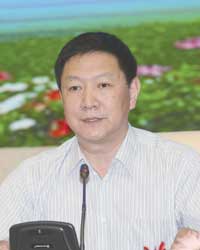 ̫������tyc4633