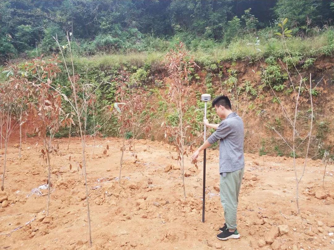地皮规划部项目纪实丨1066vip威尼斯人，助力荒地变桑田！