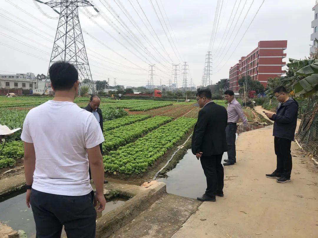 助力村落振兴，1066vip威尼斯一向在致力！