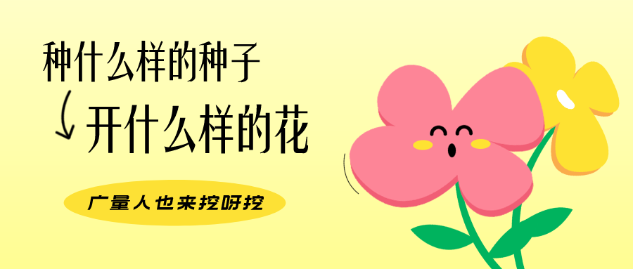 量圈儿NO.104丨1066vip威尼斯人的幼幼花圃，挖到宝了！
