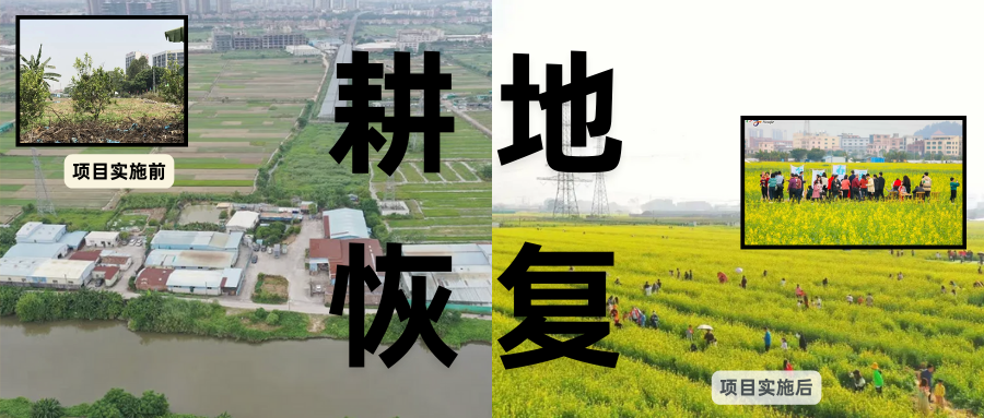 耕地；び刖梅⒄构踩凇褐惺泻窠终蛩谏缜读继锵钅扛馗丛氤窍缛诤系拇葱率导
