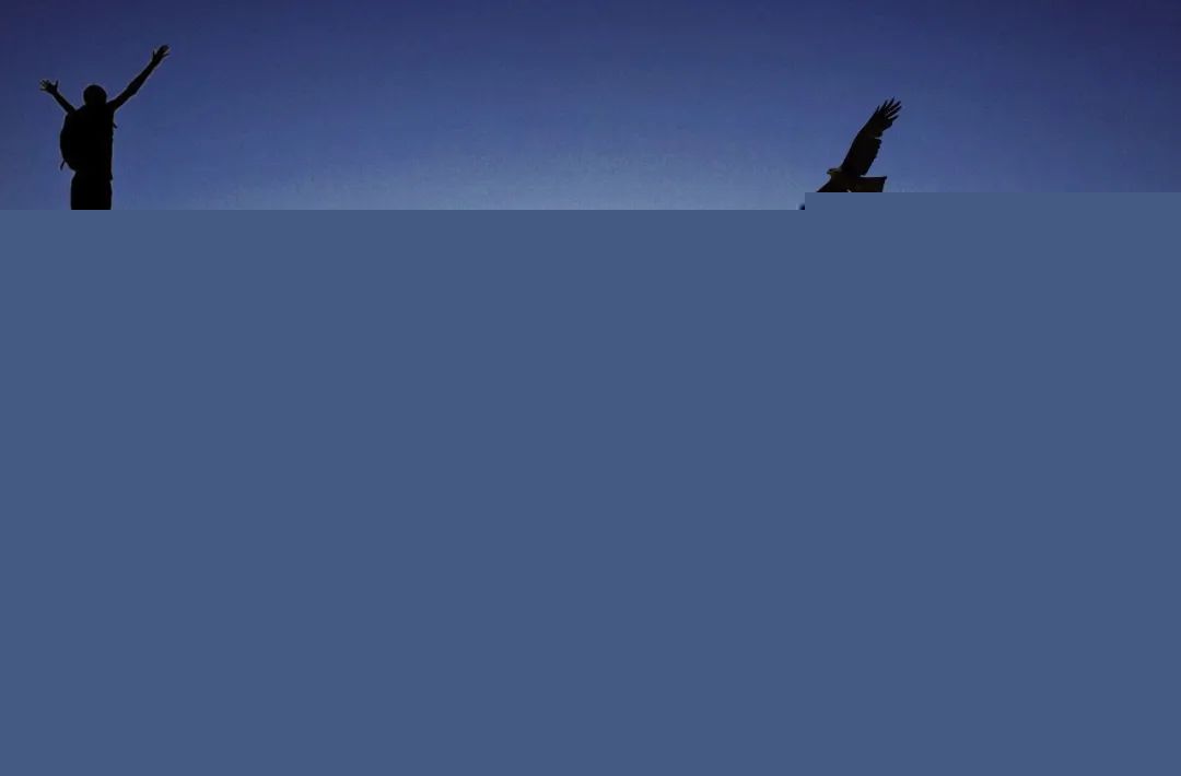 435353.jpg